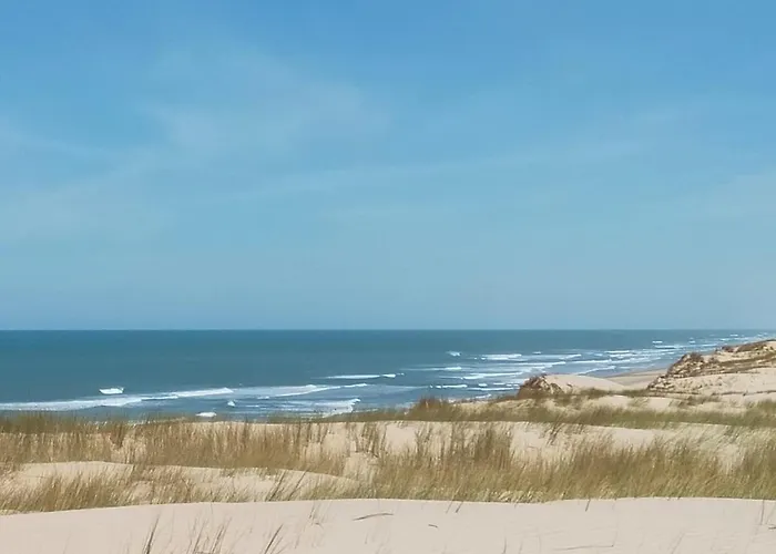 Maison De 6-8 Pers, Au Bord Du De Hourtin, Avec Piscine Dom wakacyjny Hourtin